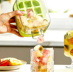 2-in-1 Ice Cube Tray with Bottle