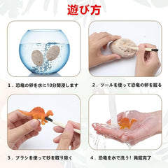 Dinosaur Egg Dig Kit