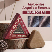 Disaar Herbal Shampoo Bar