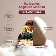 Disaar Herbal Shampoo Bar