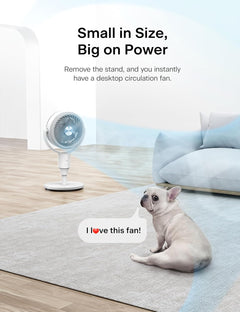 F1 Air Circulation Fan © Ⓢ
