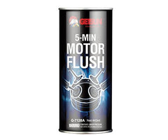 G-SUN Motor Flush Cleaner