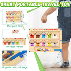 Magnetic Bead Counting Maze