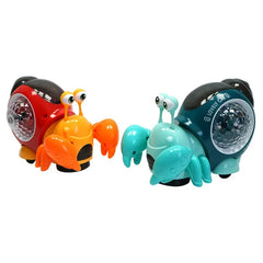 Musical Hermit Crab Toy