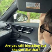 Car Sunshade and Electrostatic Barrier