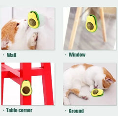 Catnip Lick Ball Toy