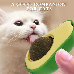Catnip Lick Ball Toy