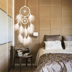 Home Decorations Wedding Decoration Feathers
