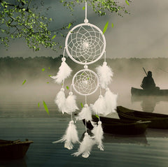 Home Decorations Wedding Decoration Feathers