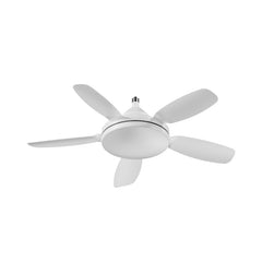Torima Socket Fan Light