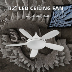 Torima Socket Fan Light