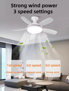 Torima Socket Fan Light