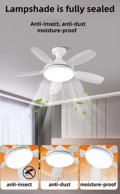 Torima Socket Fan Light