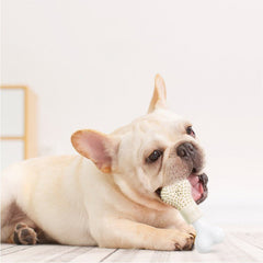Pet Chewing Toy