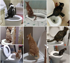 Pet Supplies Cat Toilet Trainer